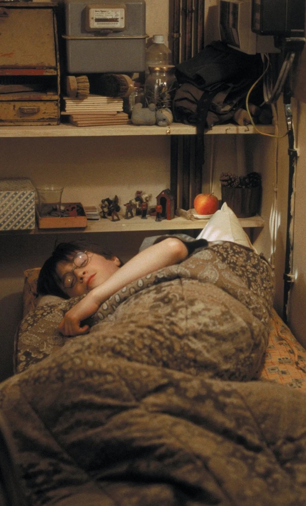  hình ảnh harry potter 20