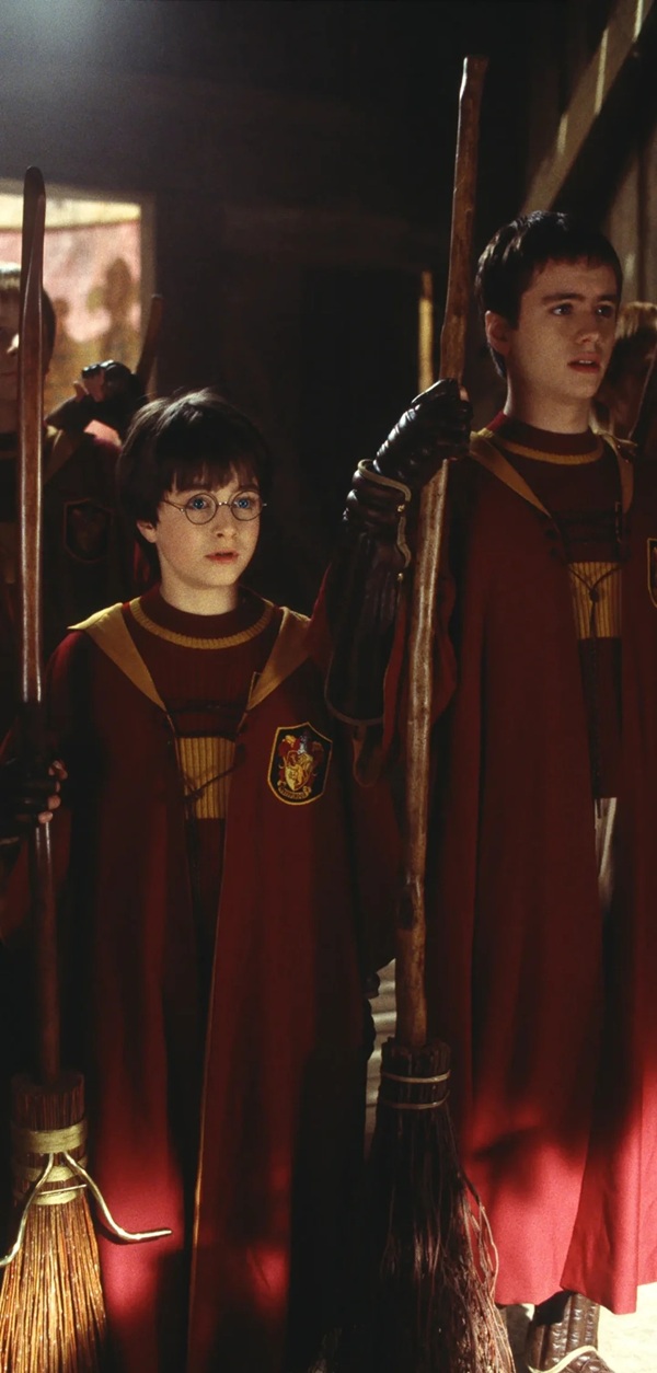  hình ảnh harry potter 21