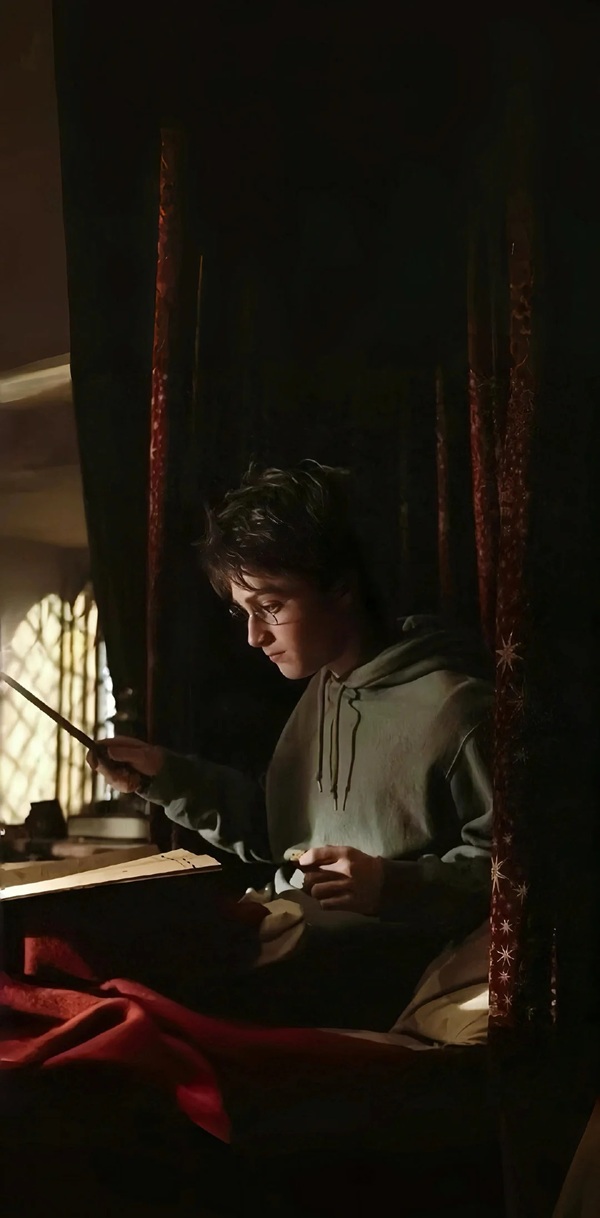  hình ảnh harry potter 23