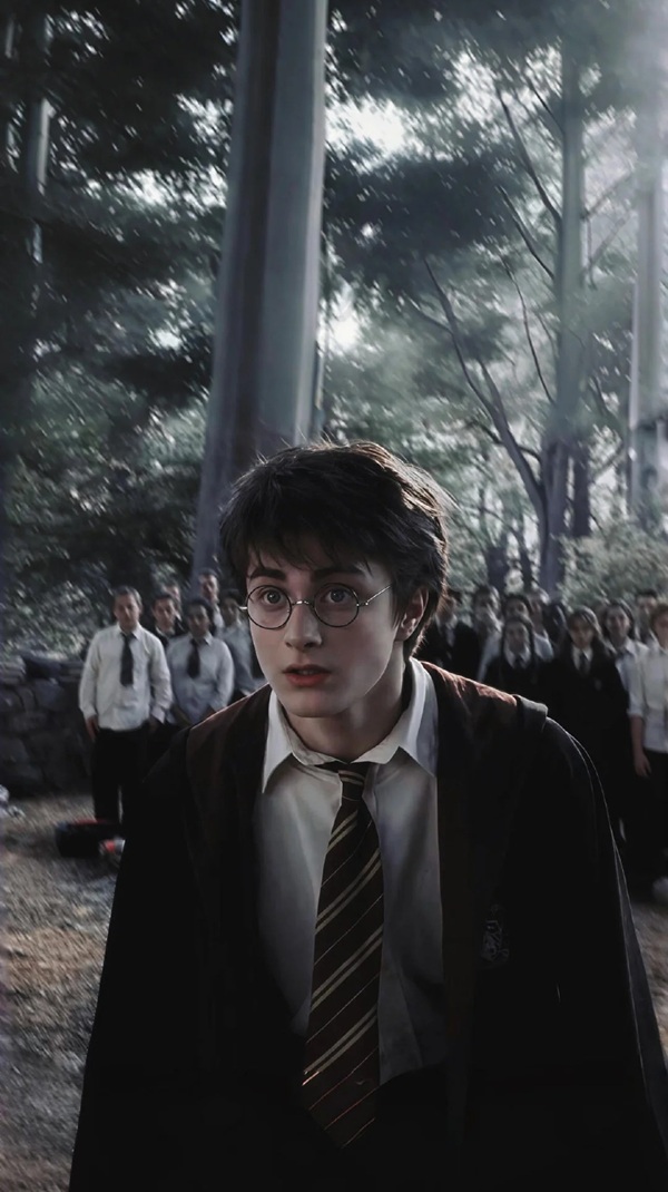  hình ảnh harry potter 26 