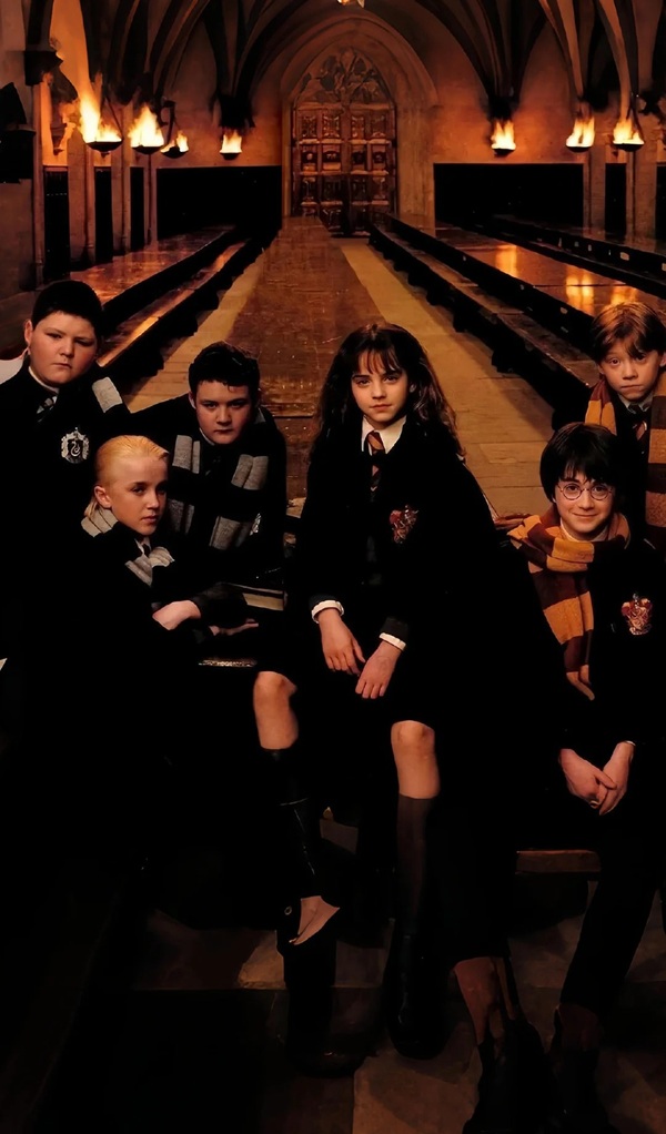  hình ảnh harry potter 28