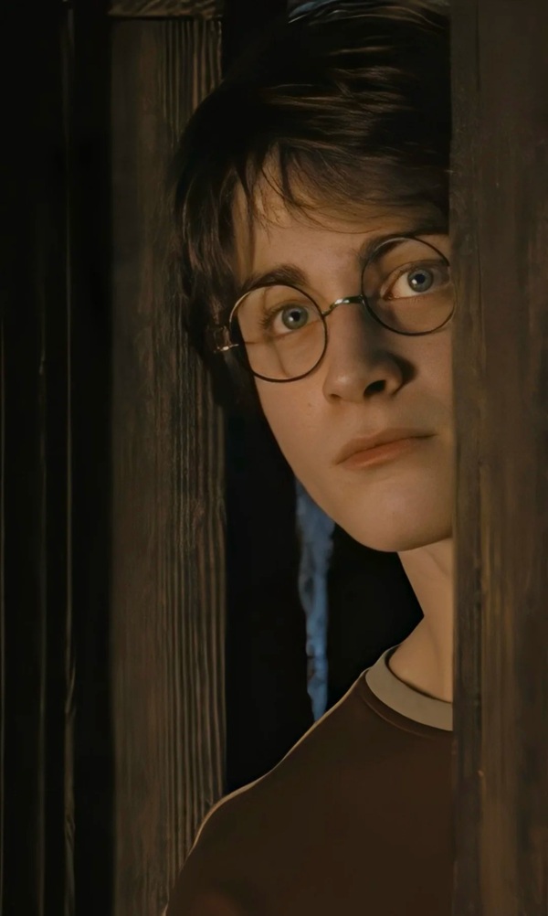  hình ảnh harry potter 