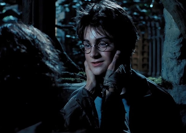  hình ảnh harry potter 