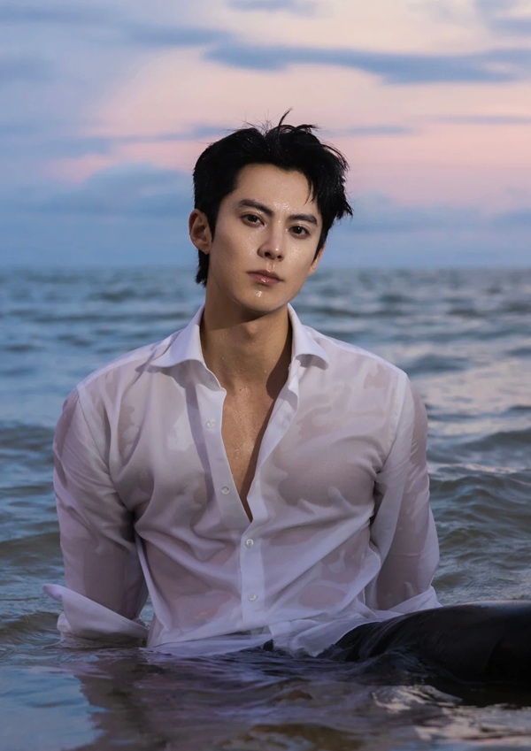 ảnh vương hạc đệ 33