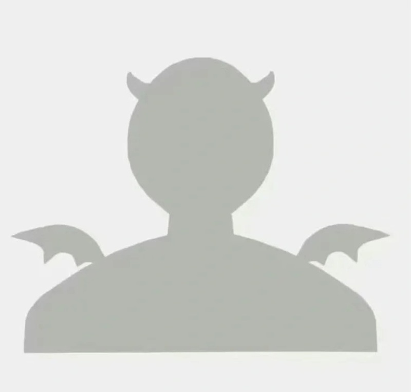avatar ẩn danh 29