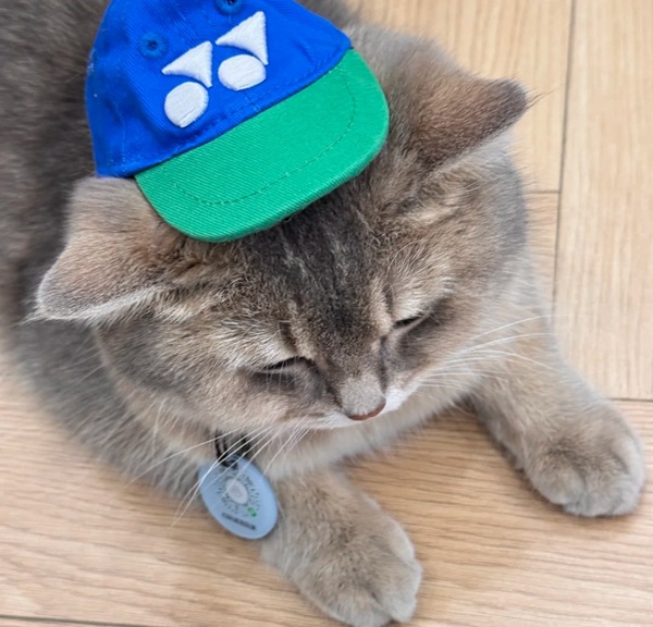 avatar cầu lông cute 31