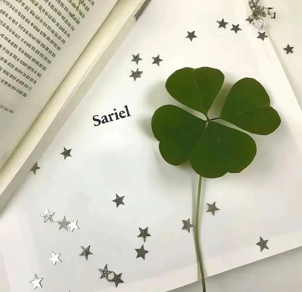 avatar cỏ 4 lá may mắn 12