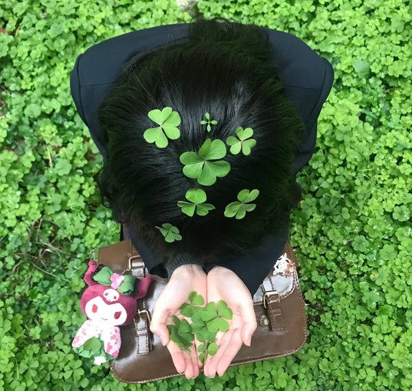 avatar cỏ 4 lá may mắn 13