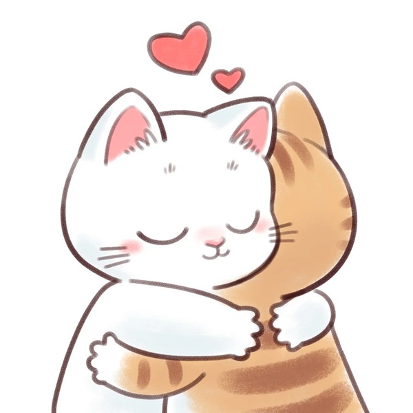 ảnh avatar đôi mèo cute 30