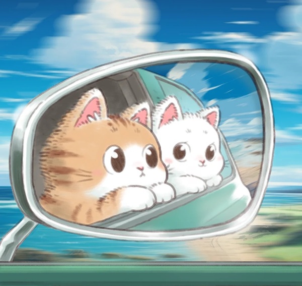 ảnh avatar đôi mèo cute 31