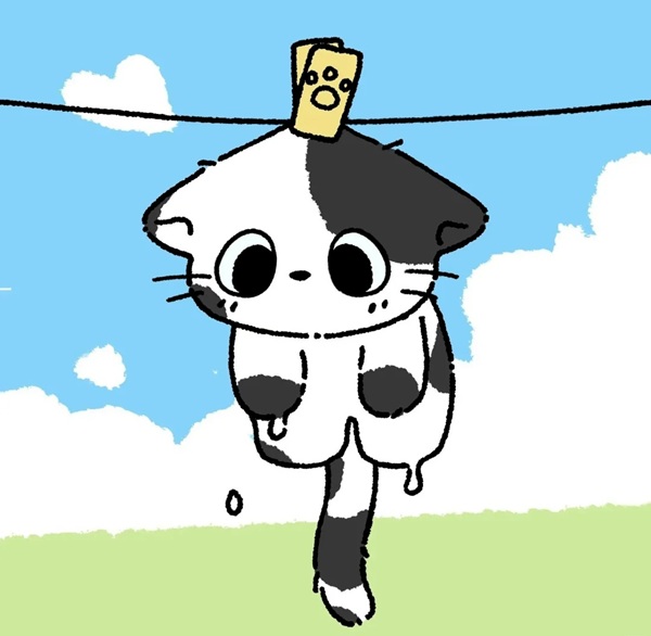 ảnh avatar đôi mèo cute 36