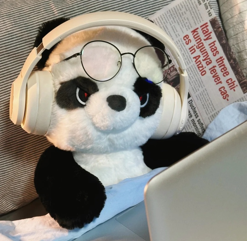 avatar gấu trúc cute 12