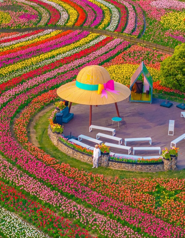avatar hoa tulip 38