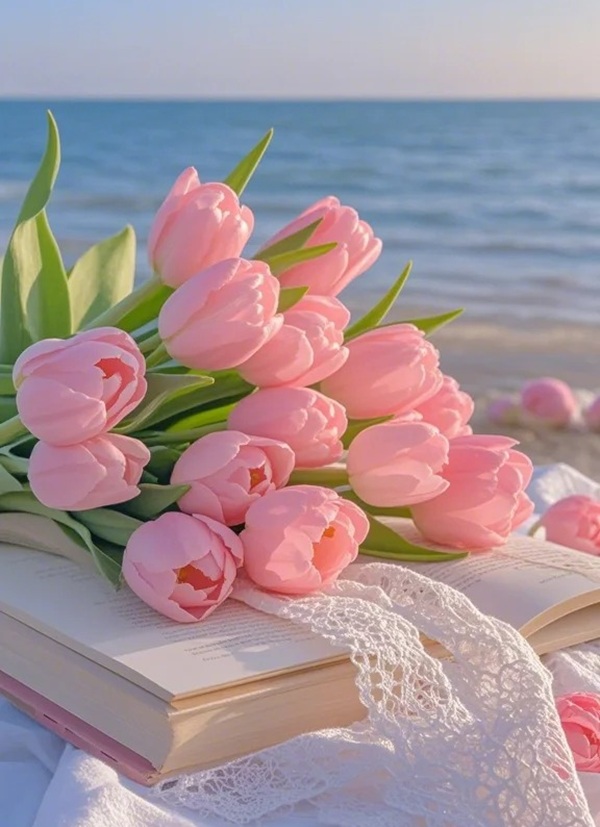 avatar hoa tulip hồng