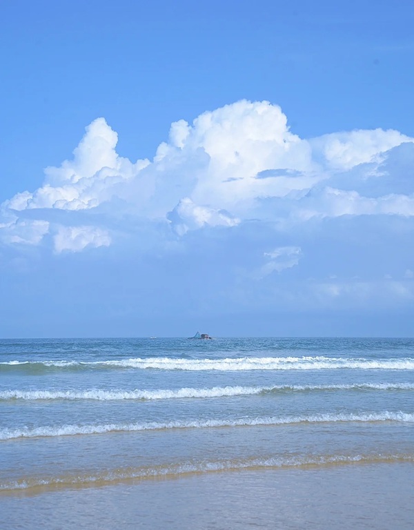 avatar màu xanh dương 22