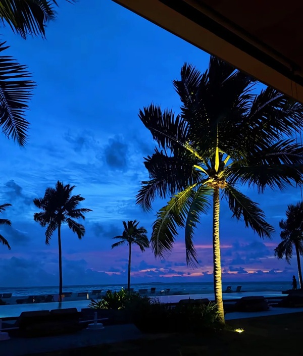avatar màu xanh dương 3