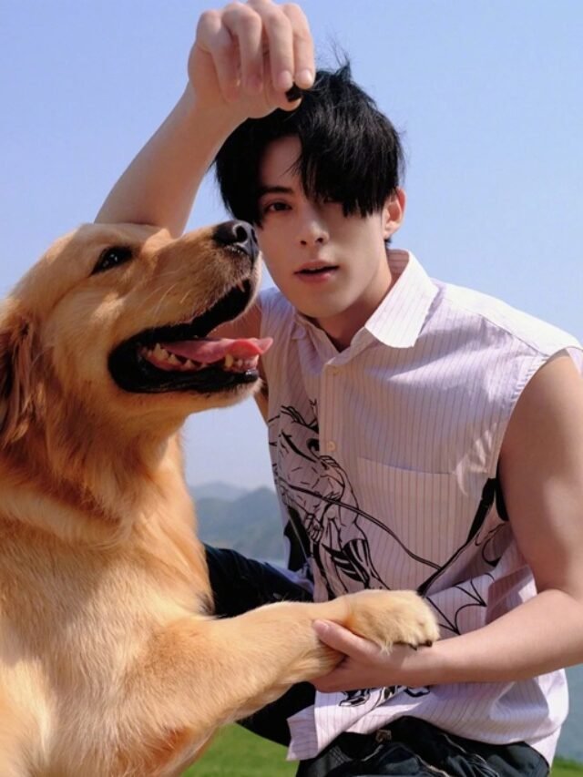 ảnh vương hạc đệ