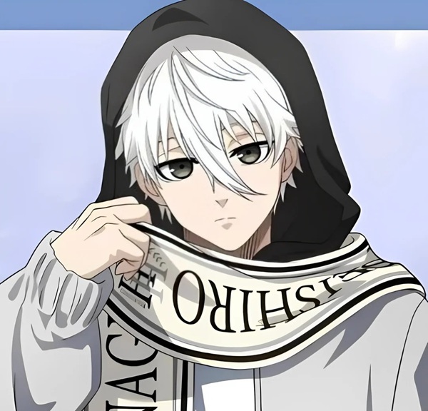 nagi seishiro avatar cute 10