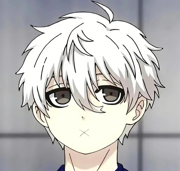 nagi seishiro avatar cute 18