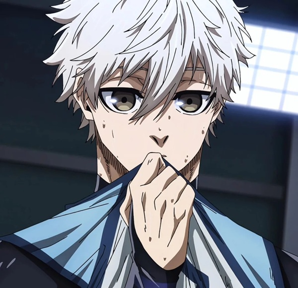 nagi seishiro avatar cute 29