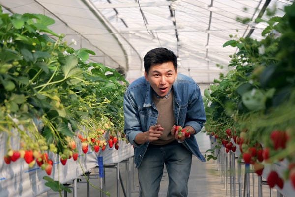 khoai lang thang là ai 15