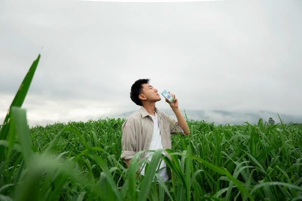 khoai lang thang là ai 5