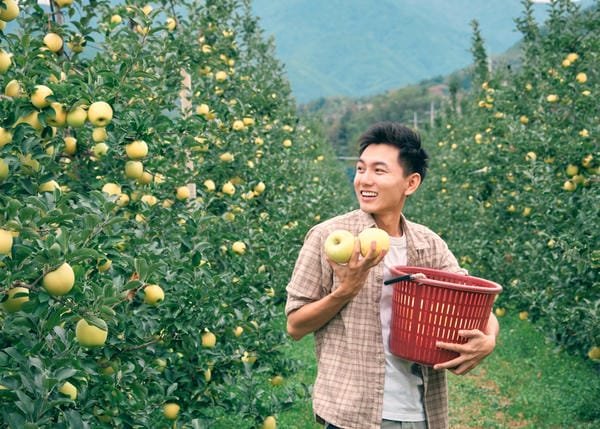khoai lang thang là ai 6