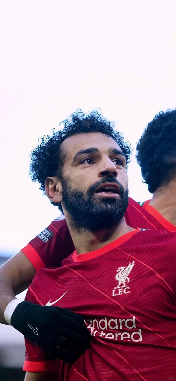 vua phá lưới ngoại hạng anh mùa 2024-2025 là ai (7)