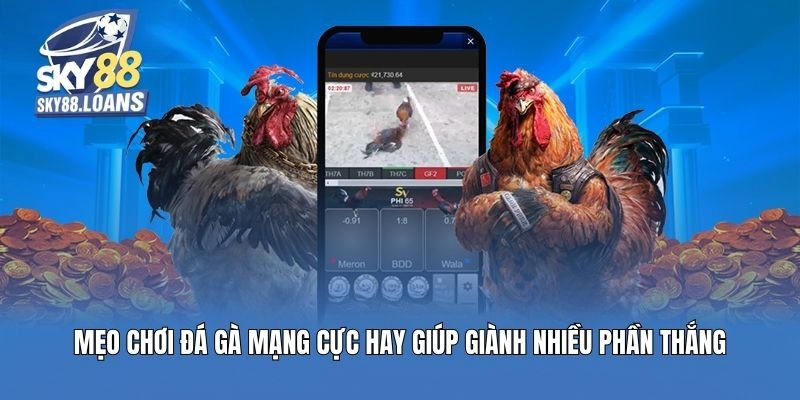 meo-choi-da-ga-mang-cuc-hay-giup-gianh-nhieu-phan-thang